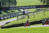 brands-hatch-photographs;brands-no-limits-trackday;cadwell-trackday-photographs;enduro-digital-images;event-digital-images;eventdigitalimages;no-limits-trackdays;peter-wileman-photography;racing-digital-images;trackday-digital-images;trackday-photos